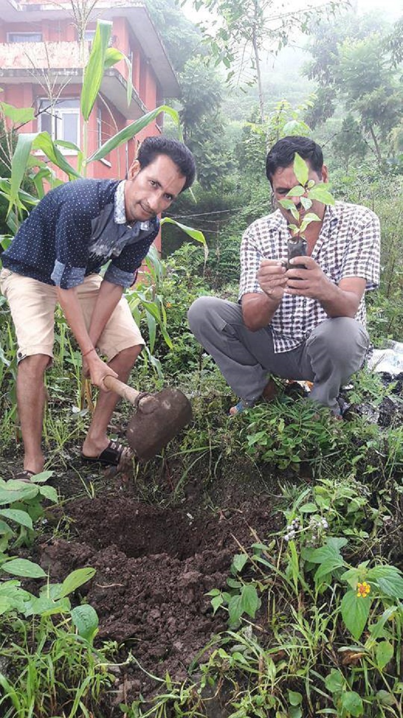 जिल्ला शिक्षा कार्यालय परिसरमा वृक्षारोपण